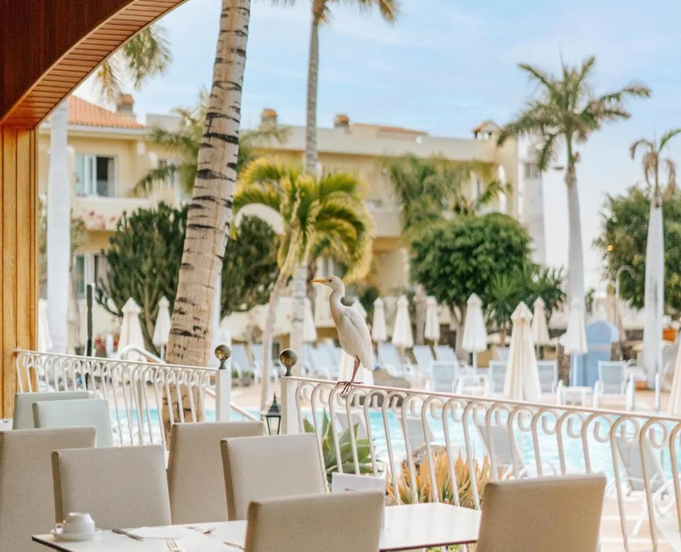 R2 Buganvilla Hotel & Spa Morro Jable   Morro Jable (Fuerteventura)